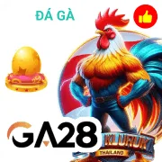 Bài Quốc Tế